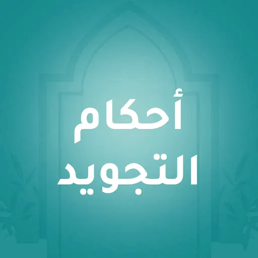 Tajweed Rules for Beginners: What to Learn, and in What Order